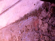 p1010050.jpg